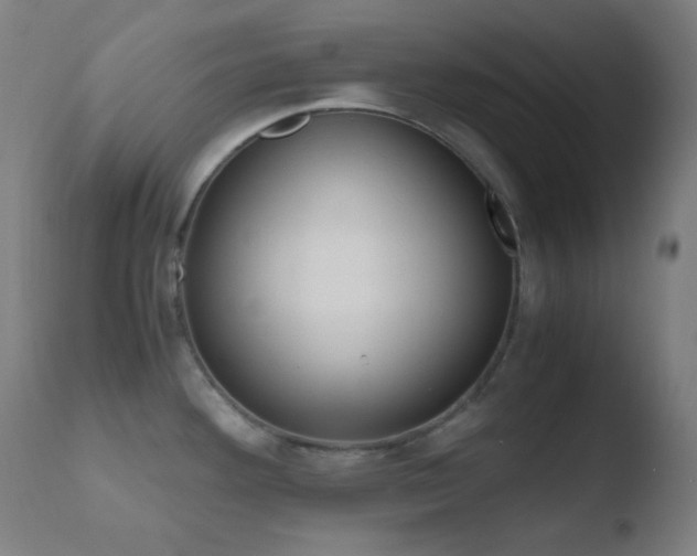 X0000110731292200906121302