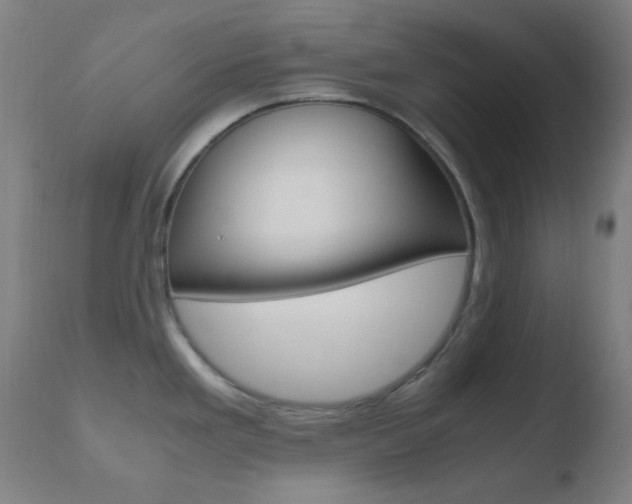 X0000110731293200906121301