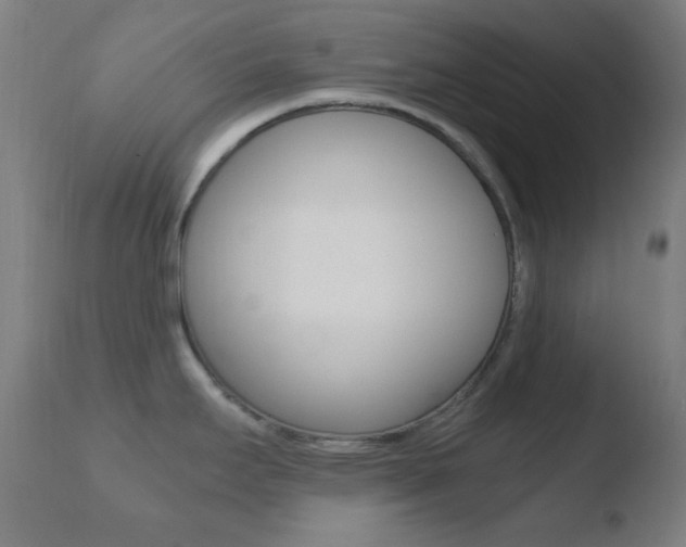 X0000110731295200906121301
