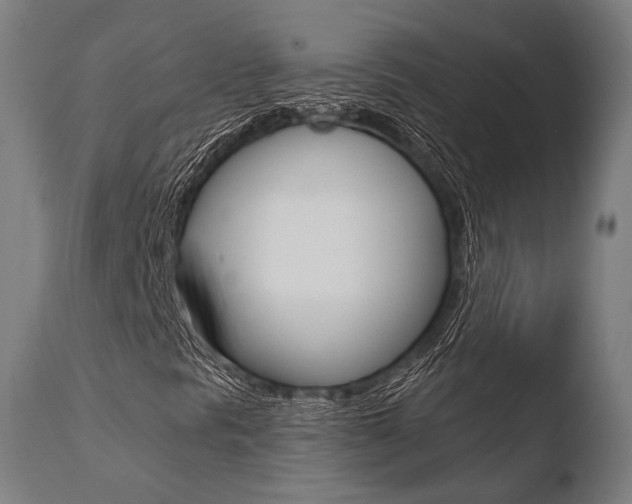 X0000110731297200906121301