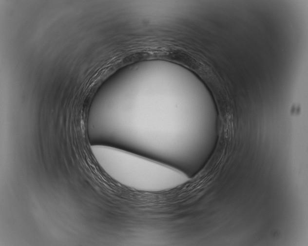 X0000110731298200906121301