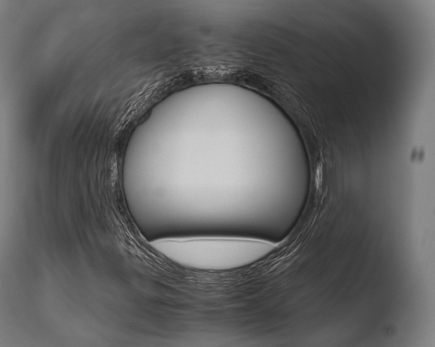 X0000110731299200906121301