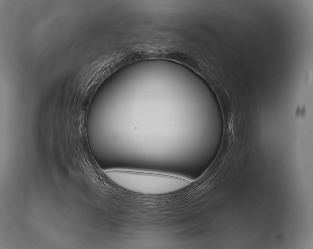 X0000110731300200906121301