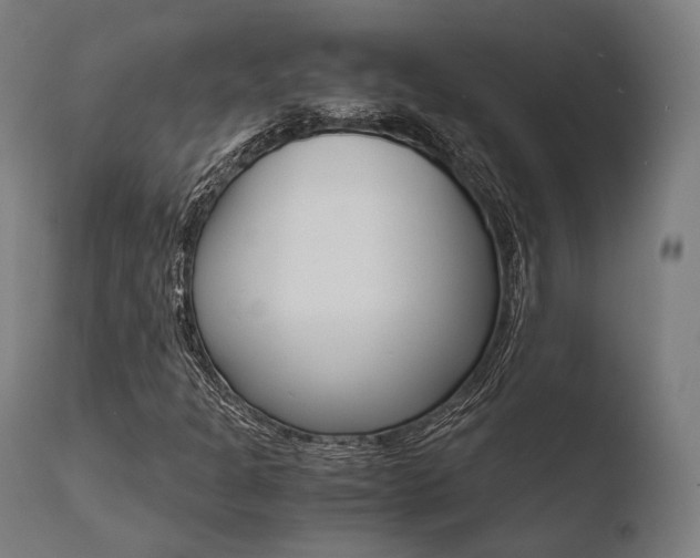 X0000110731301200906121301
