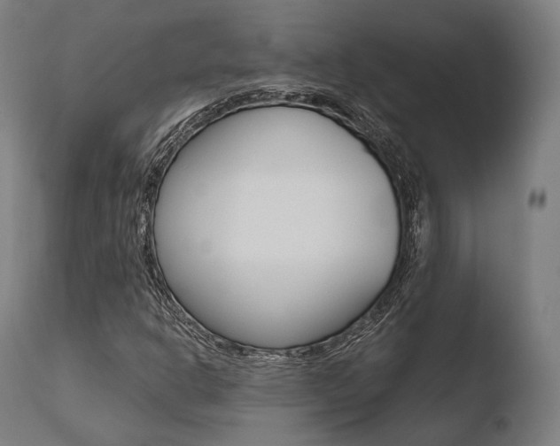 X0000110731302200906121301