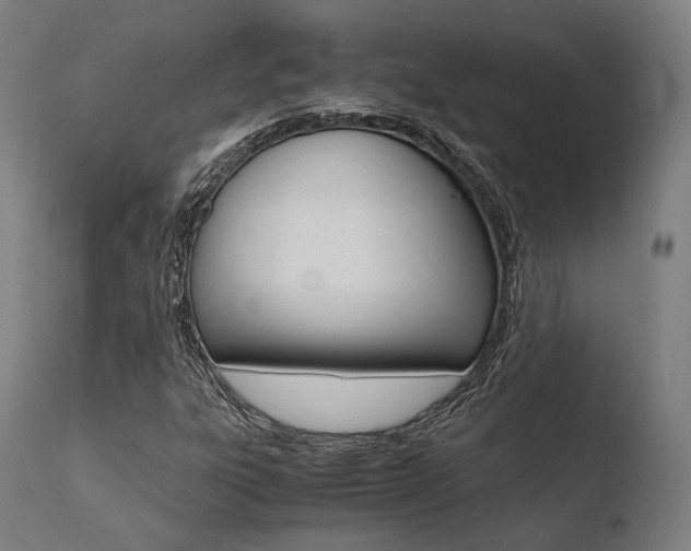 X0000110731303200906121301