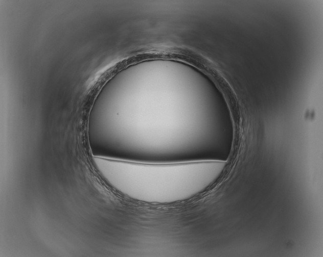 X0000110731304200906121301