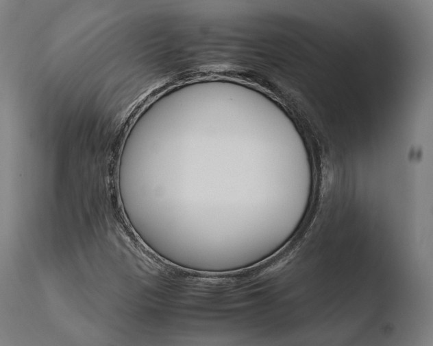 X0000110731305200906121301