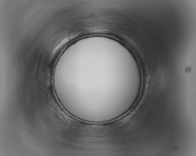 X0000110731306200906121301