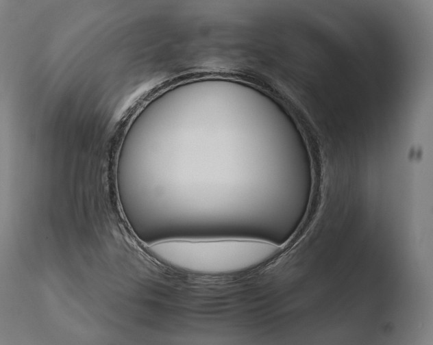 X0000110731307200906121301