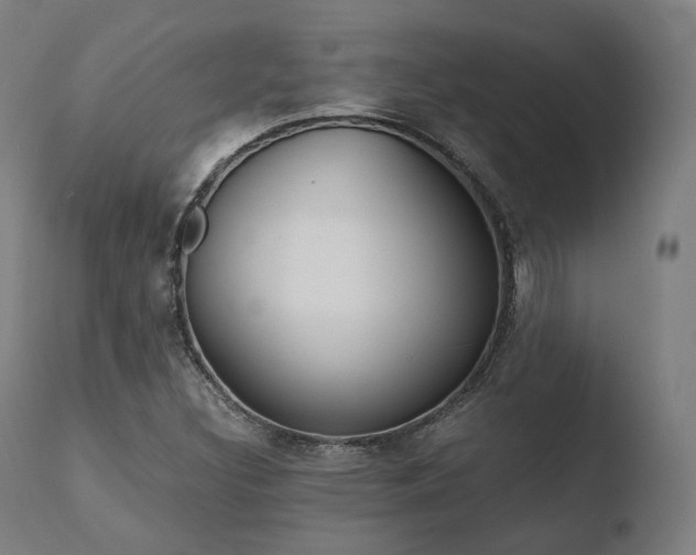 X0000110731308200906121301