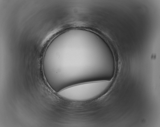 X0000110731309200906121301