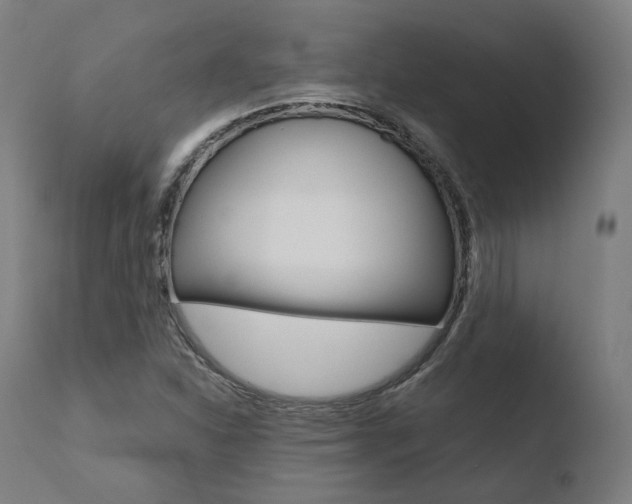 X0000110731310200906121301