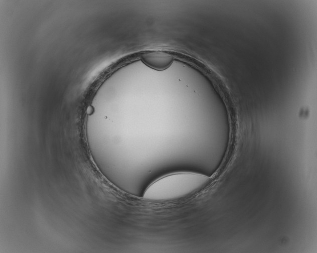 X0000110731311200906121301