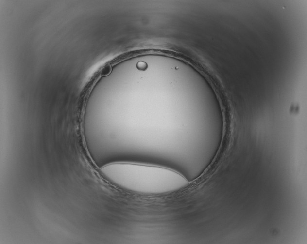 X0000110731312200906121301