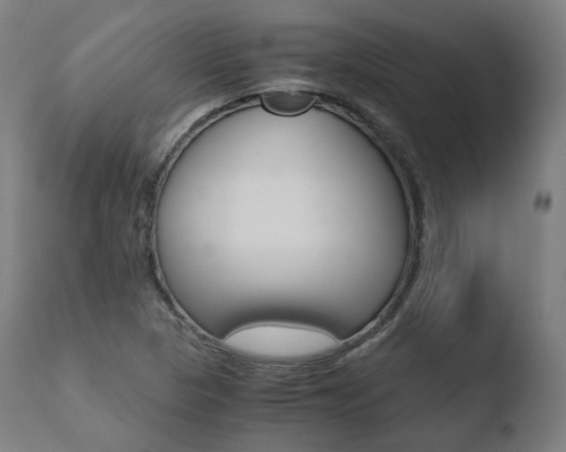 X0000110731313200906121301