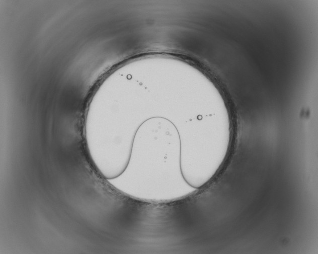 X0000110731314200906121301