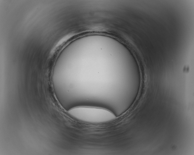 X0000110731315200906121301