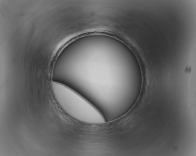 X0000110731316200906121301
