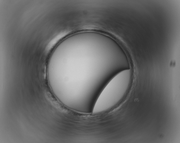 X0000110731317200906121301