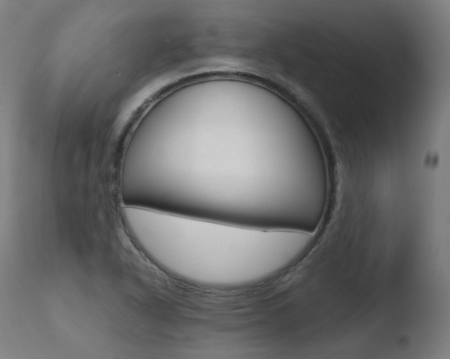X0000110731318200906121301