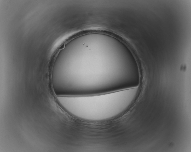 X0000110731319200906121301