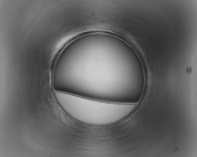 X0000110731320200906121301