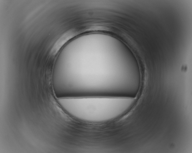 X0000110731321200906121301