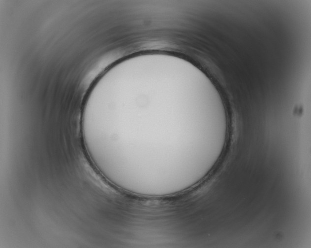 X0000110731322200906121301