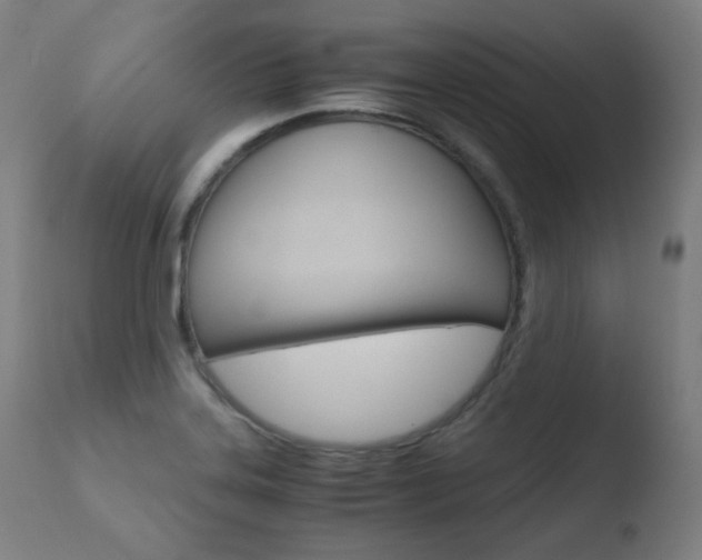 X0000110731323200906121301