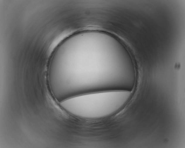 X0000110731325200906121301