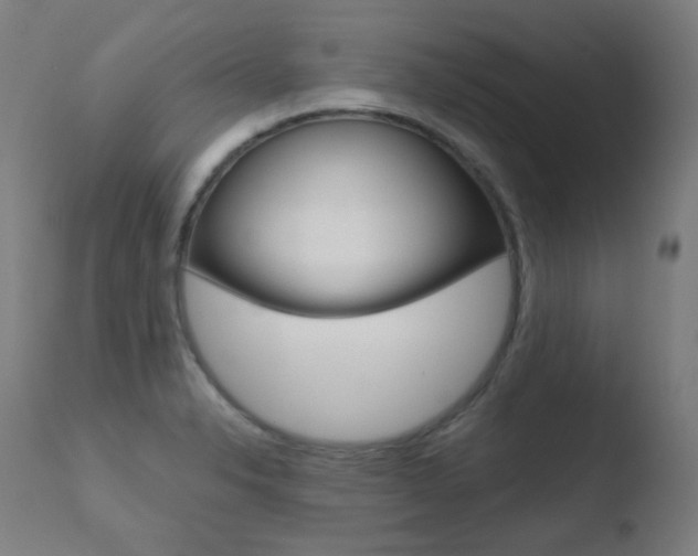 X0000110731326200906121301