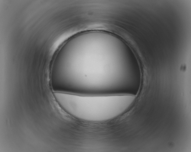 X0000110731328200906121301