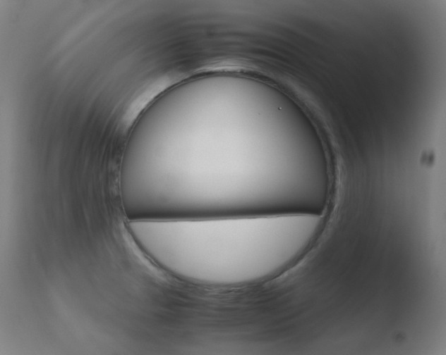 X0000110731329200906121301