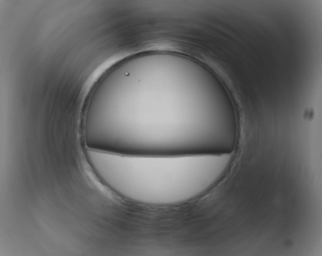 X0000110731331200906121301