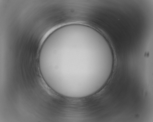 X0000110731332200906121301