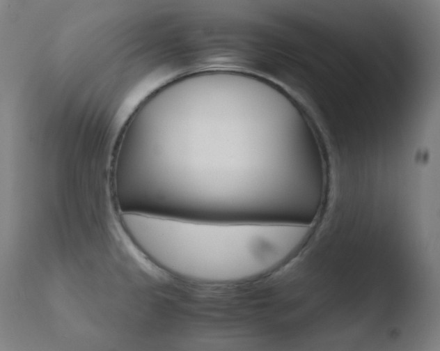X0000110731333200906121301
