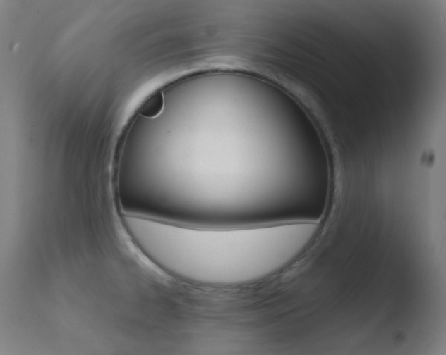 X0000110731334200906121301
