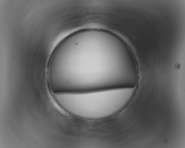 X0000110731335200906121301