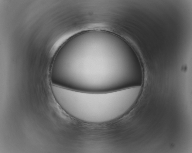X0000110731336200906121301
