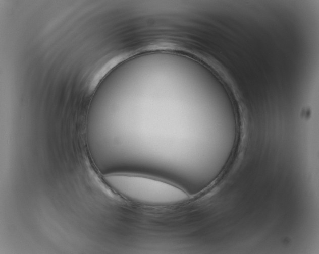 X0000110731337200906121301