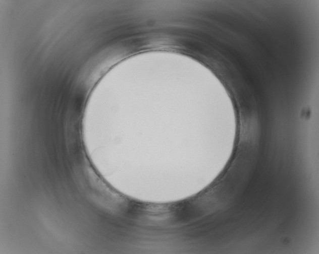 X0000110731338200906121301