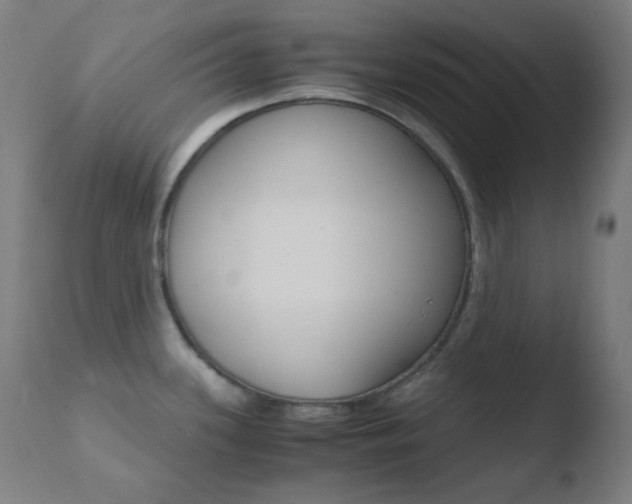 X0000110731339200906121301