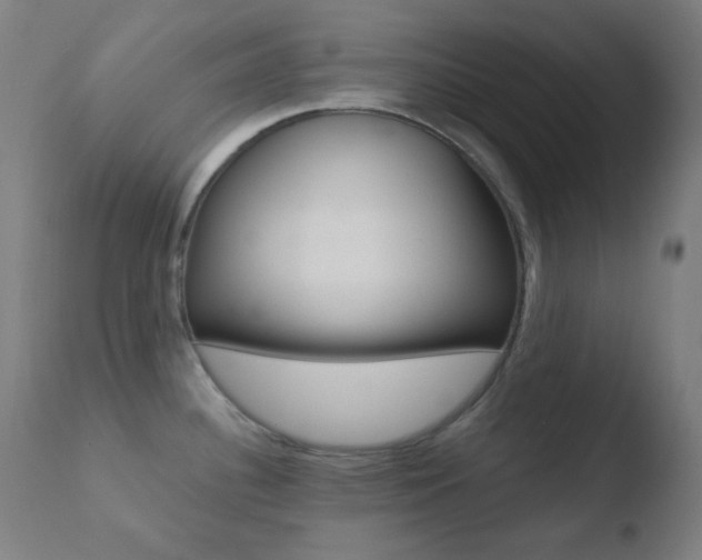 X0000110731340200906121301