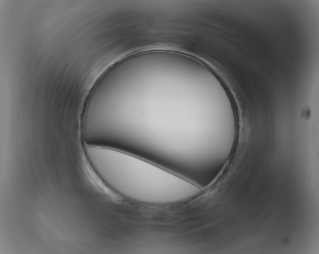 X0000110731341200906121301