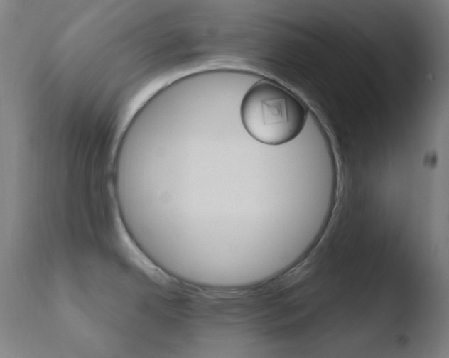 X0000110731342200906121301