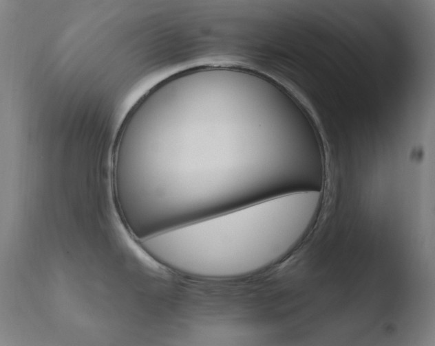 X0000110731343200906121301