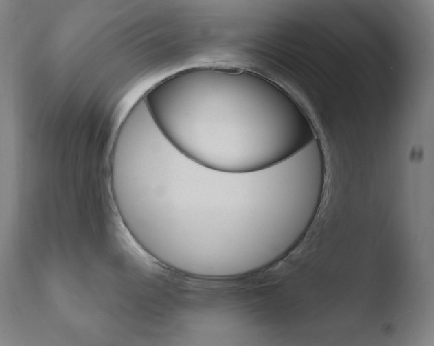 X0000110731344200906121301