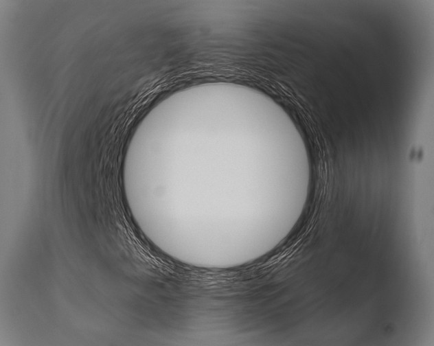 X0000110731345200906121301