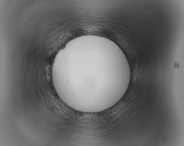 X0000110731346200906121301